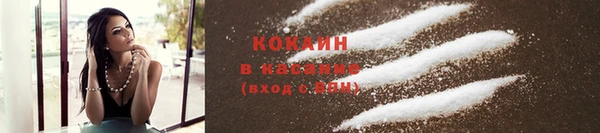 индика Армянск