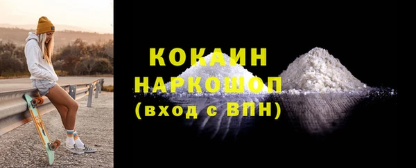 индика Армянск