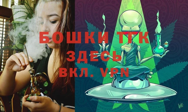 сатива Арсеньев