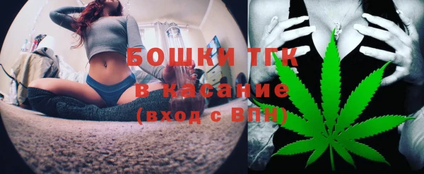 Альфа ПВП Аркадак