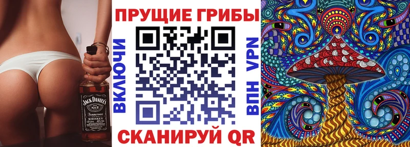 KRAKEN ТОР  как найти   Карабулак  Псилоцибиновые грибы ЛСД 